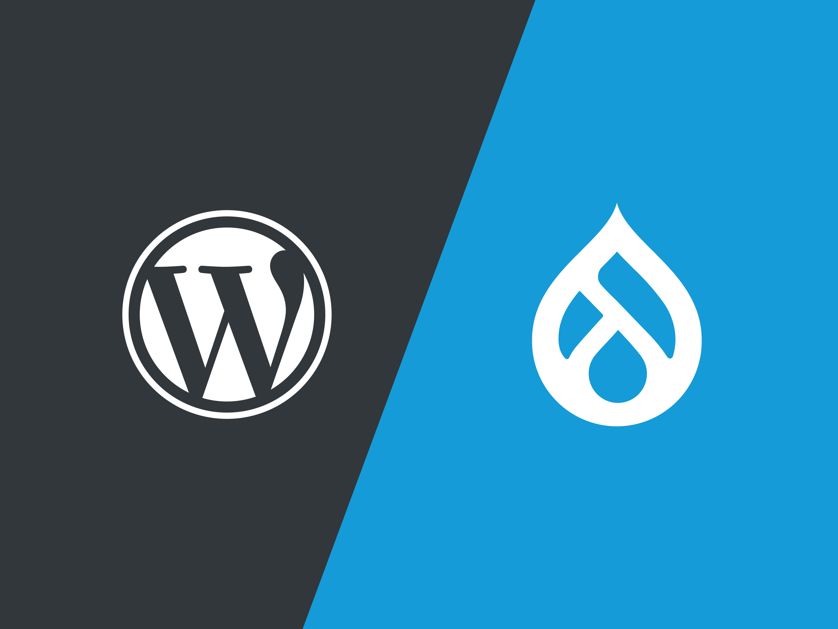 WordPress vs. Drupal: Choosing the Right Platform for Your CMS