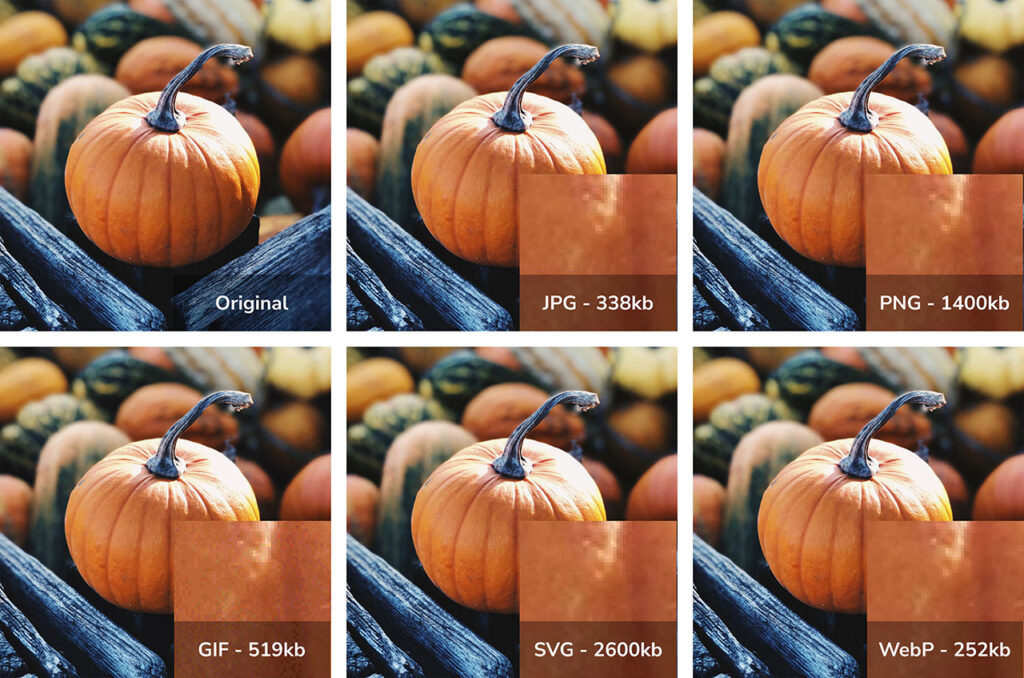 Comparison of photographic image by file type and file size